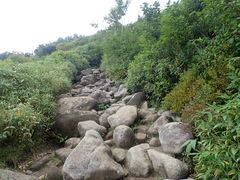 �}�C�a�n�n����̑��R�i���x�j�ւ̓��e�ʐ^1