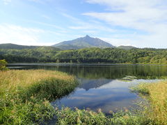 �}�C�a�n�n����̃I�^�g�}�����ւ̓��e�ʐ^1