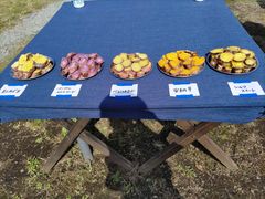 񂿂ႳBlueberry HILLS ւ̓eʐ^1