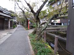 ������ȁ[������̏�蕶�w�U�����ւ̓��e�ʐ^1