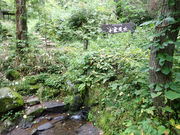 }Cann̊ØI򐅂̓eʐ^1