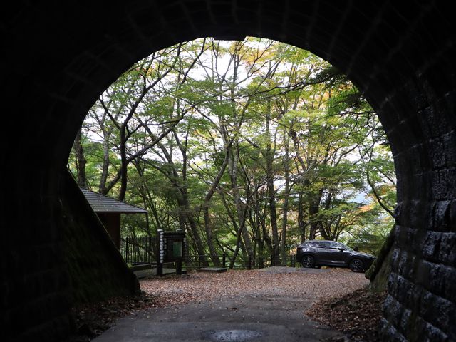 glkiɓsjƊۂz̊Ĝ悤łB_VR詓 (Vgl)