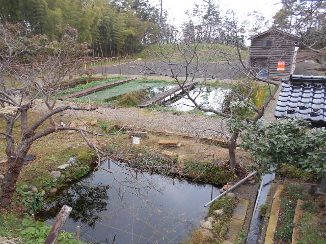 gV[̂ǂǂ̒r(ǂǂ̂)̓eʐ^1