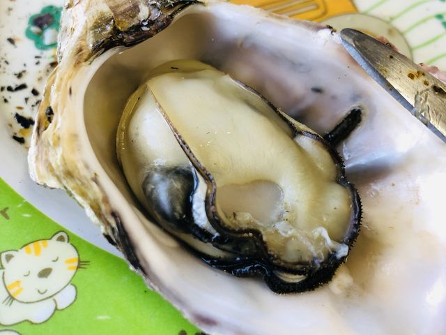 �P�������J�L�̉��y�́A�v���v���A�Z���ł����I_�P�������J�L