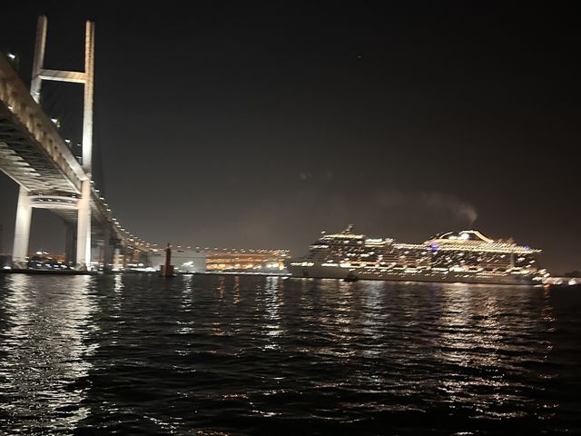 ���������猩���M�d�ȑ̌����ł���_���l ���`�D �_�i