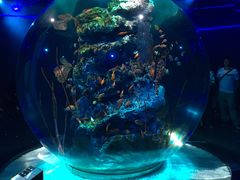 hSAQUARIUM~ART atoaւ̓eʐ^1