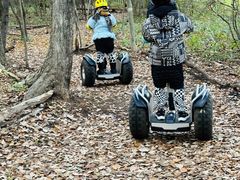 񁚂̃WCChp[Nւ̓eʐ^1