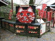 �C�C�ꃉ�C�_�[����̕��ǓV���{�̓��e�ʐ^3