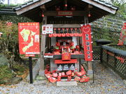 �C�C�ꃉ�C�_�[����̕��ǓV���{�̓��e�ʐ^4