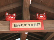 �C�C�ꃉ�C�_�[����̕��ǓV���{�̓��e�ʐ^5