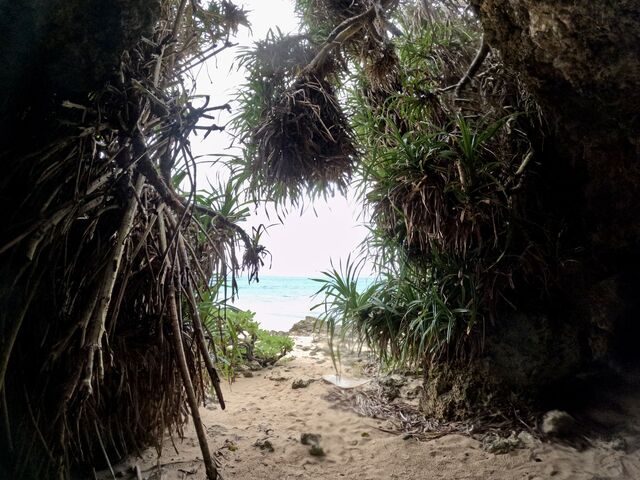 �C�O�W�b�g�����r�[�`�ɂ̓K�}���B_CHILL DIVE