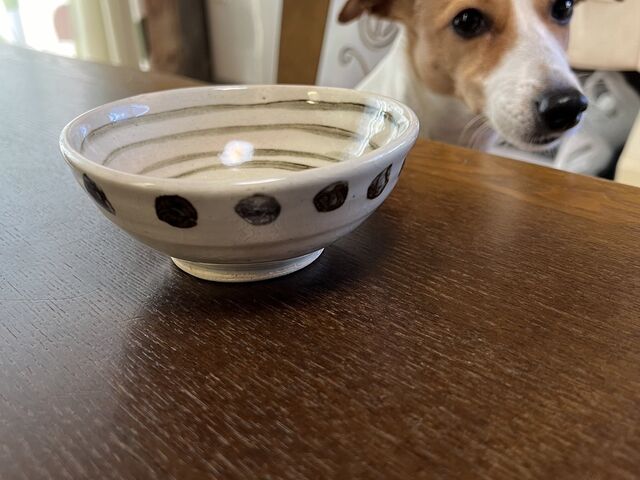 犬用食器_ゆう工房&Cafeゆう 大阪梅田店 ☆陶芸・銀アクセ・ガラス工芸