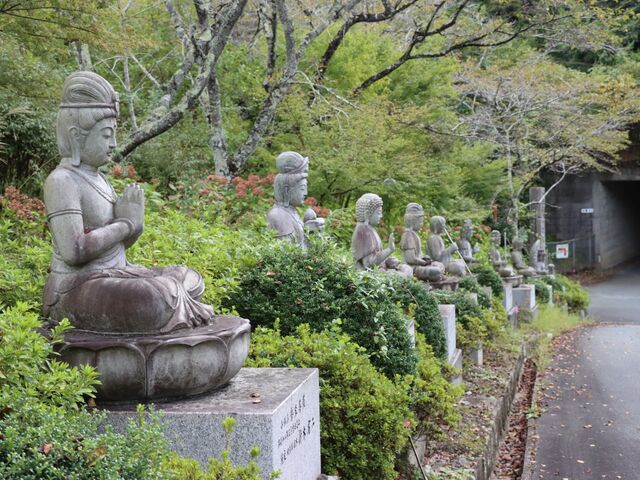 ���R���V���s�@�{����_�{����