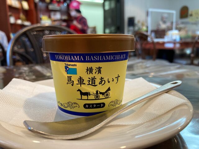 �_�ސ쌧�����j������_�_�ސ쌧�����j������