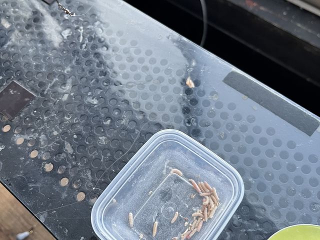 �a�ł�_NaturaBase