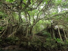 Ί_ ADVENTURE PiPi̎ʐ^1