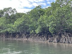 A̐\Jk[cA[̂тՂՂûՂvւ̓eʐ^1