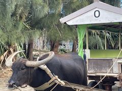 A̐\Jk[cA[̂тՂՂûՂvւ̓eʐ^3