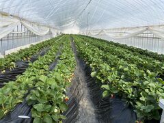 chancẽtBI[ 2ndnEXւ̓eʐ^1