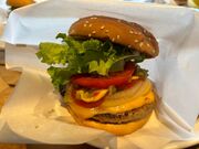 V^Ci[̃tbVlXo[K[ DX̓eʐ^1