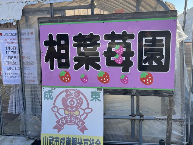 ������ł�_���t䕉�