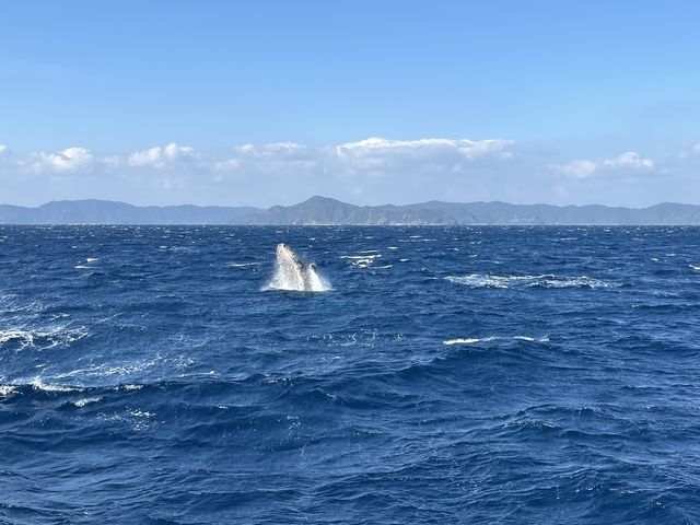 ���Ō���̂�1��_�_���f���C�I������