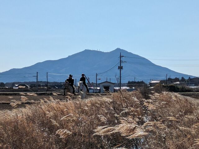 �w�i�͒}�g�R_��a�z�[�X�p�[�N