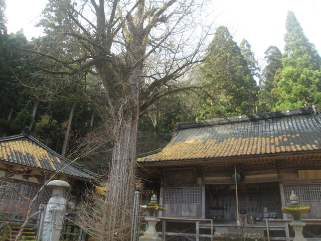 ��ǂ̋��؂������ł��B_�����@