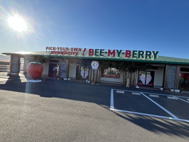 �傫�Ȃ������̃I�u�W�F���ڈ�
���̓��͕x�m�R���悭�����܂���_�ό��_�� Bee my Berry