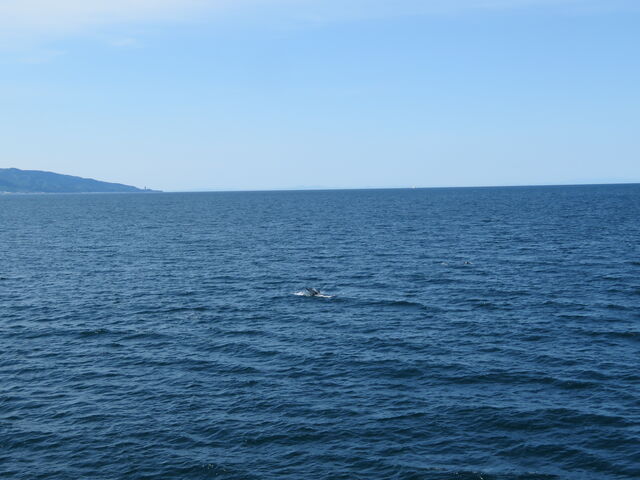 �C���J���߂����j���܂�_�ނp�t�F���[