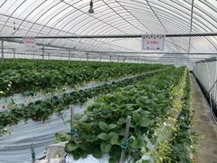 soil select farmւ̓eʐ^2