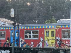 Mimi����̎R�����܂�鉷�� ��蓹�̓��ւ̓��e�ʐ^1