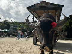 ۂ񂳂̔dRόtF[ւ̓eʐ^1