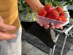 covẙЃWFCGC܂t@[ւ̓eʐ^1