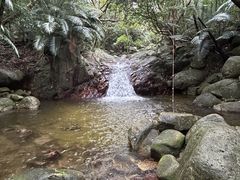 ۂ񂳂̐Ί_cA[KChI[u[ւ̓eʐ^1