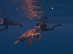 ނނSHISHIΊ_ւ̓eʐ^2