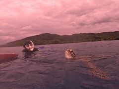 ނނSHISHIΊ_ւ̓eʐ^3