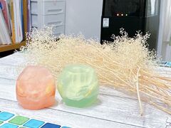 䂫̃A}Ǝ肹񋳎RoomSealiahւ̓eʐ^1