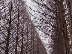 ܘỸ^ZRCA؂ւ̓eʐ^1