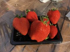 ӂ݂񂳂joumonfarmi傤ӂ[ށjւ̓eʐ^1