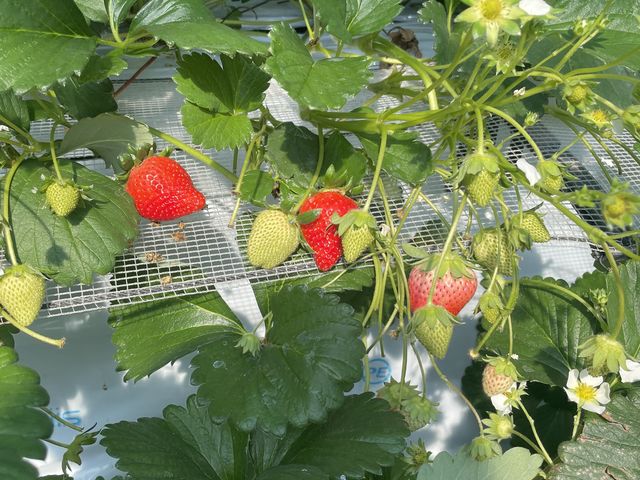 �����������_�������_���������s�A�b�c�@