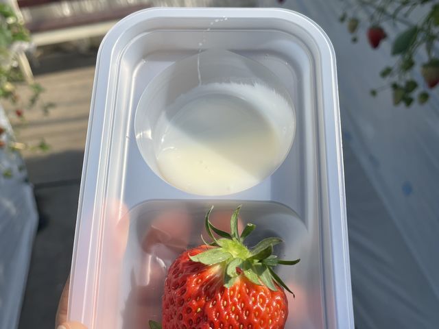 �Ȃ�Ƒ傫���I_�������_���������s�A�b�c�@