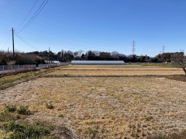 �c��ڂ̒��̂�������_�c��ڂ̒��̂�������