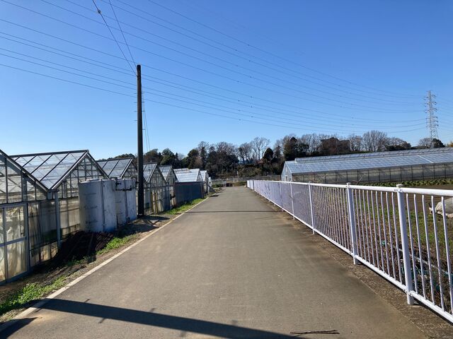 �c��ڂ̒��̂�������_�c��ڂ̒��̂�������