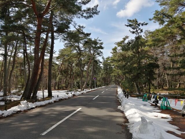 �C��̏����ʂ蔲���铹�H_�C��̏���