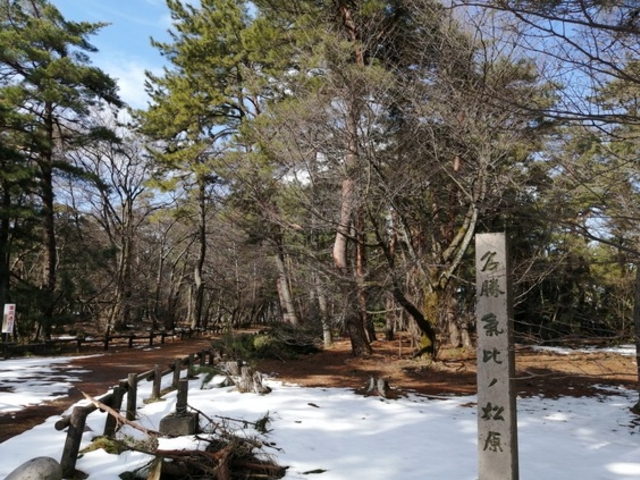 �U���H_�C��̏���