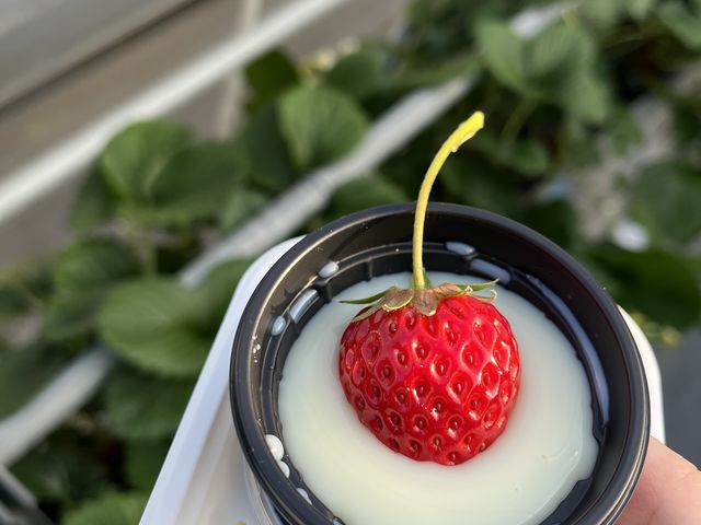 ���ɂイ�ƃ`���R���[�g�����Ă��܂����B_�����X�g���x���[�p�[�N