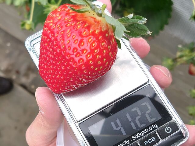 �嗱�ł���_�c��ڂ̒��̂�������