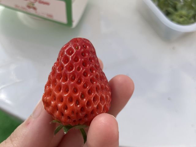 �������_Twins Farm �^����������