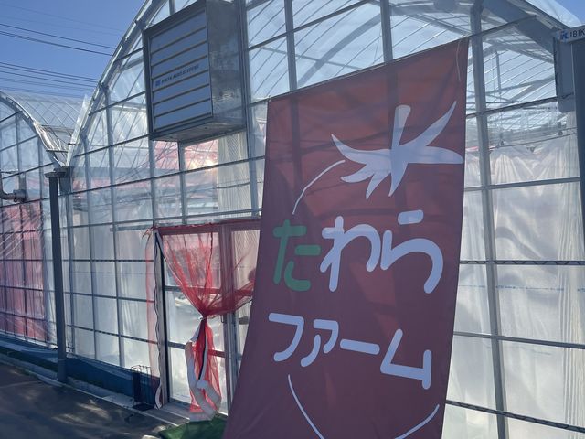 �n�E�X�O�̊���ڎw���čs���܂���_�����t�@�[��